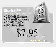 View the Starter Plan ...